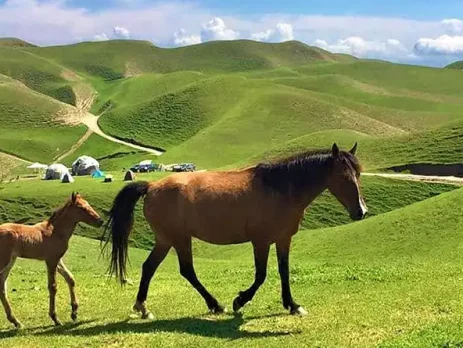 جاذبه‌های گردشگری ترکمن‌صحرا