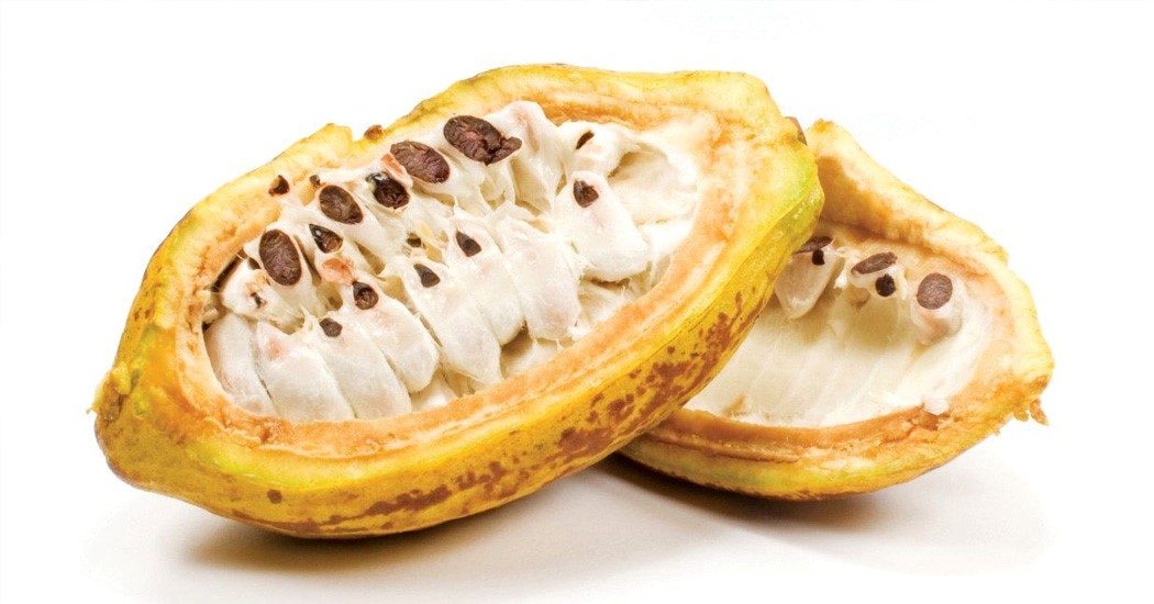  عکس تمام میوه های جهان