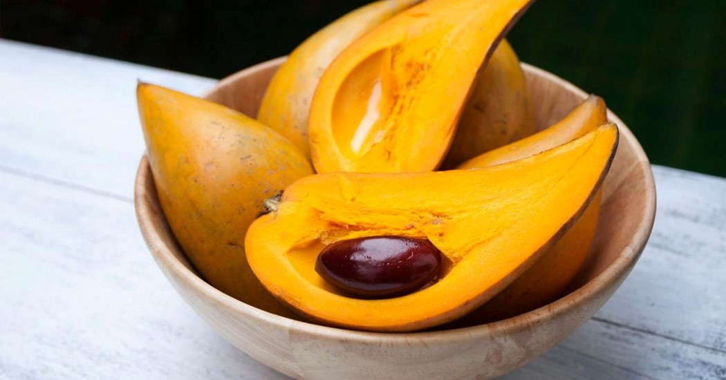  عکس تمام میوه های جهان