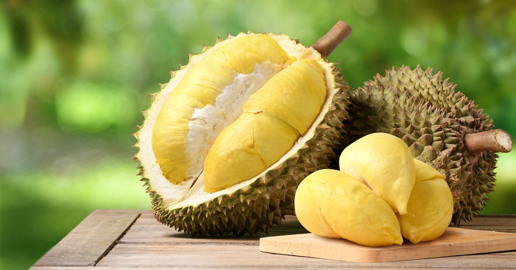  عکس تمام میوه های جهان