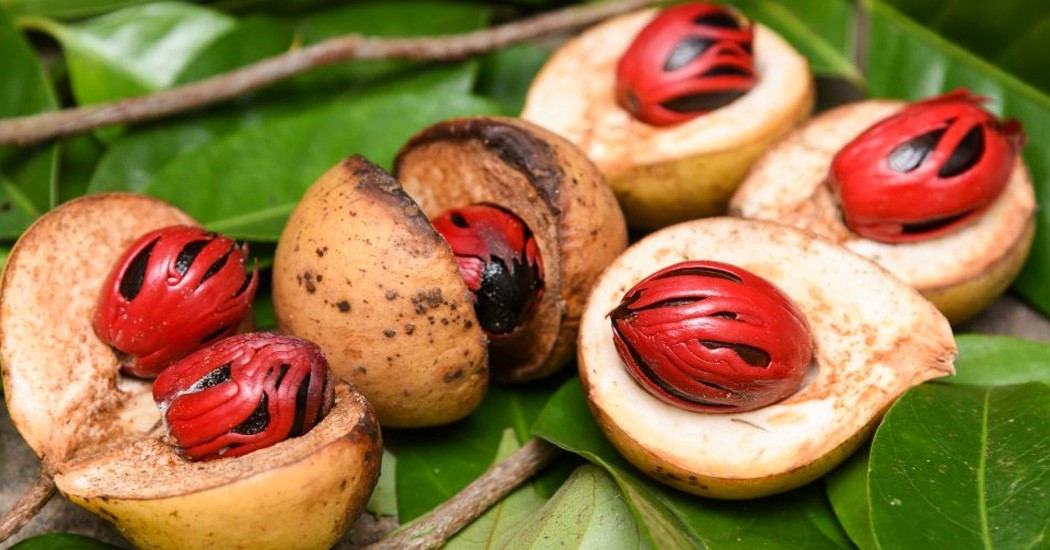 عکس میوه های زیبا