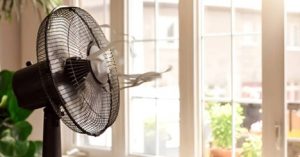 Black stand fan running near a sunlit window in a cozy indoor setting with houseplants.