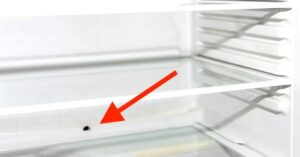 Red arrow pointing to mold spot inside refrigerator.