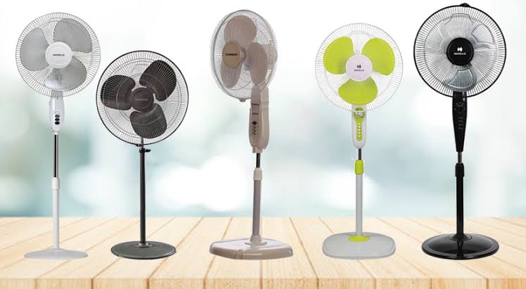 Multiple standing fans displayed in different colors on a wooden surface
