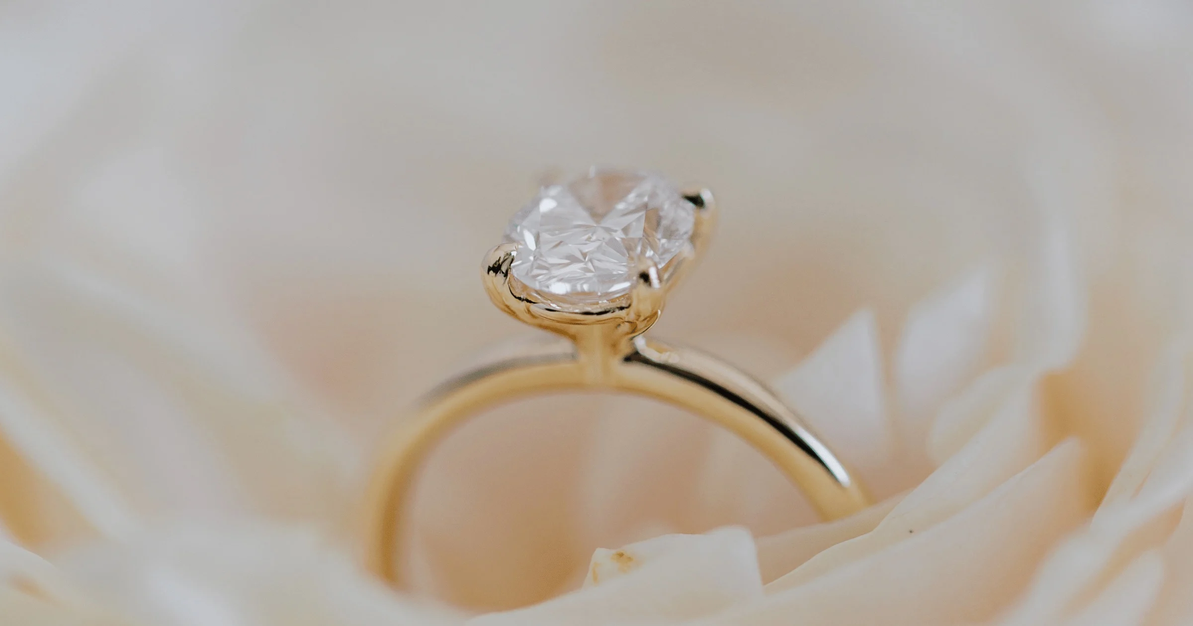 Gold solitaire ring with a clear gemstone resting among soft white flower petals.
