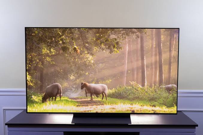 Television displaying a sunlit forest scene with sheep in a modern room 