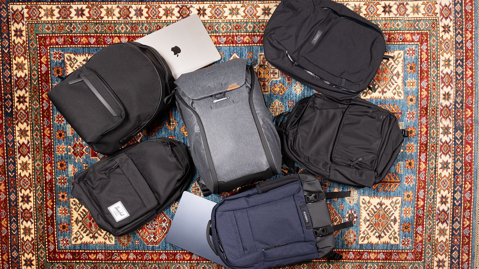 University and laptop backpacks in different styles and sizes