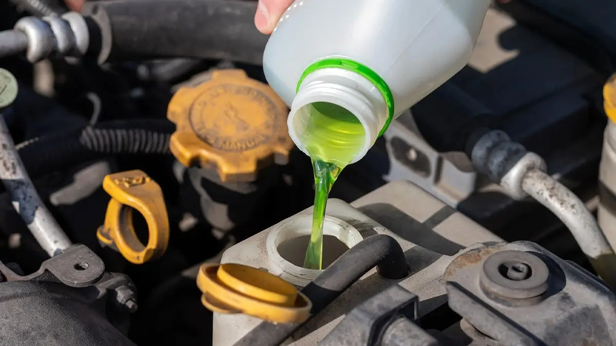 Pouring green antifreeze coolant into a car reservoir